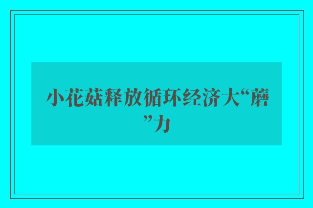 小花菇释放循环经济大“蘑”力